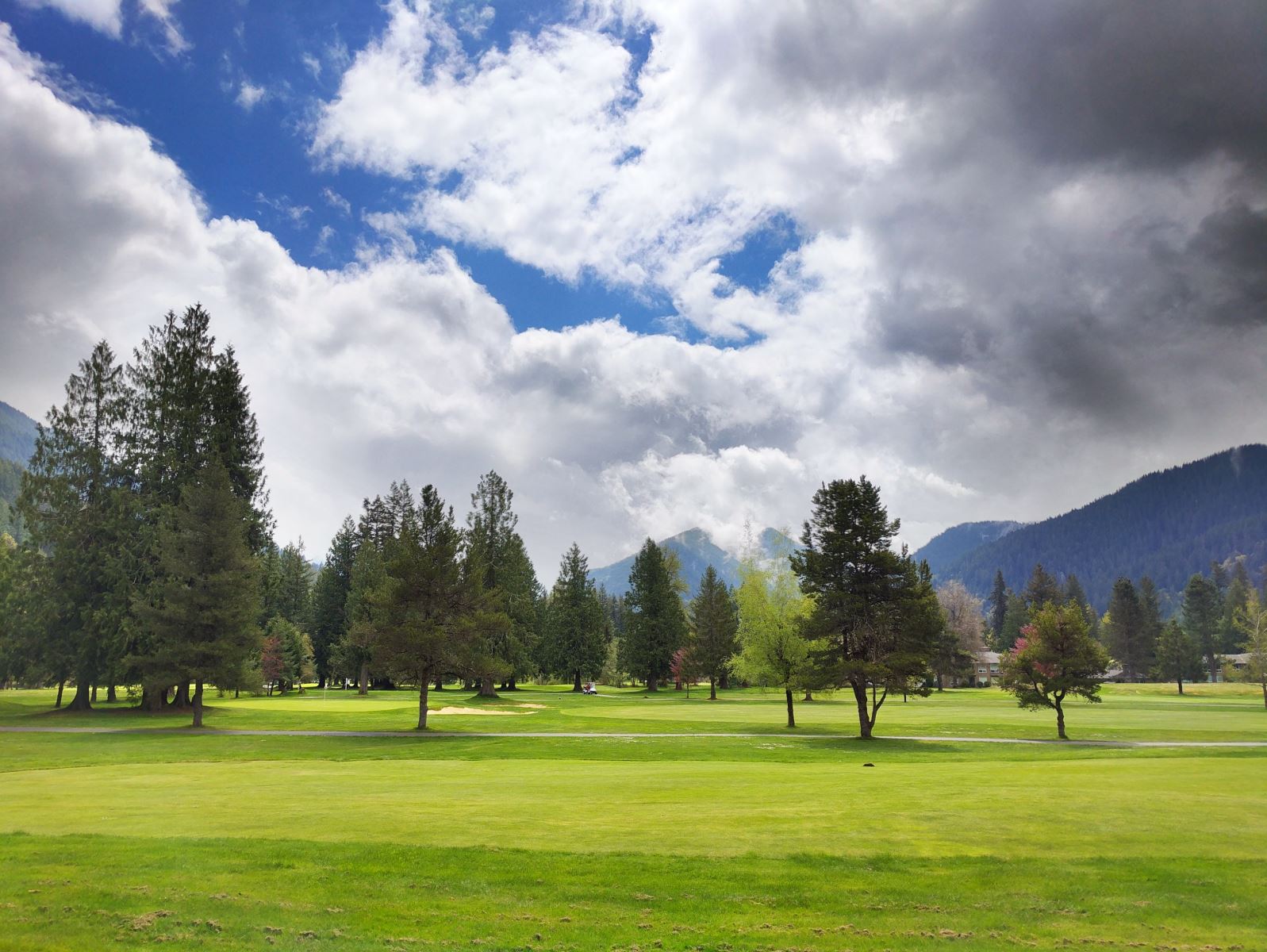 Mt. Hood Golf Course Lots for Sale Liz Warren Mt. Hood Real Estate